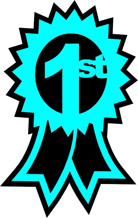 1st_place_ribbon__94822-1311693785-1280-1280