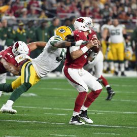 Divisional Round - Green Bay Packers v Arizona Cardinals