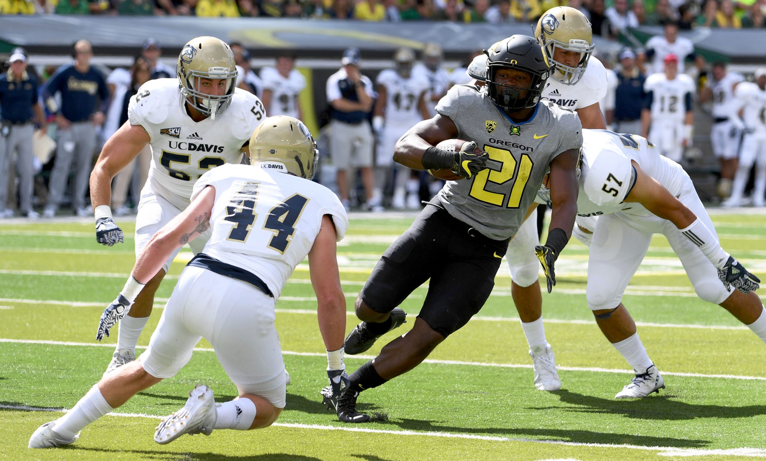 UC Davis v Oregon