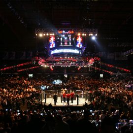 UFC 90 Silva v Cote