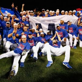 cubs