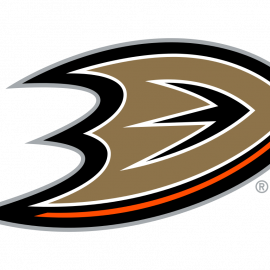ducks