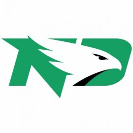 fighting-hawks