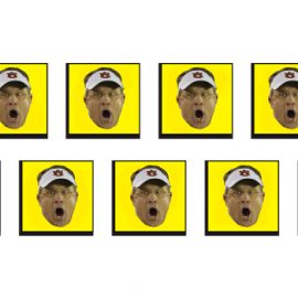 gushouse