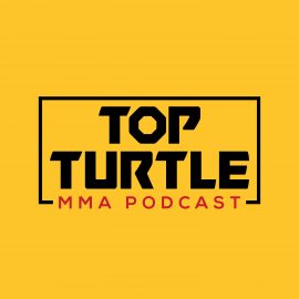 new-turt