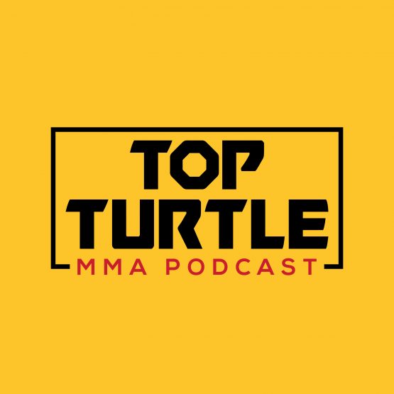 new-turt