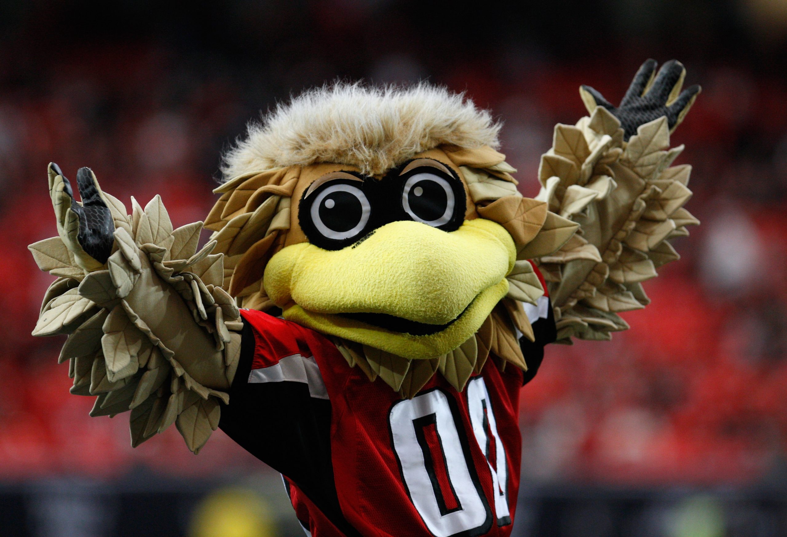 Carolina Panthers v Atlanta Falcons