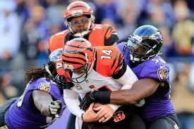 bengalsravens