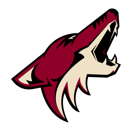 coyotes