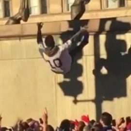 cubs-fans