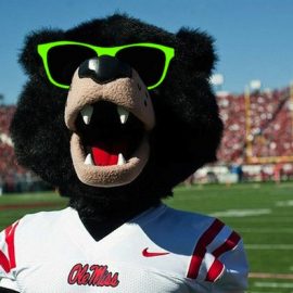 rebel-black-bearsunglasses1