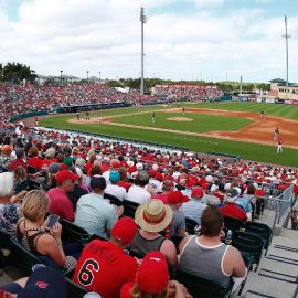 spring-training