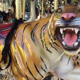 merry-go-round