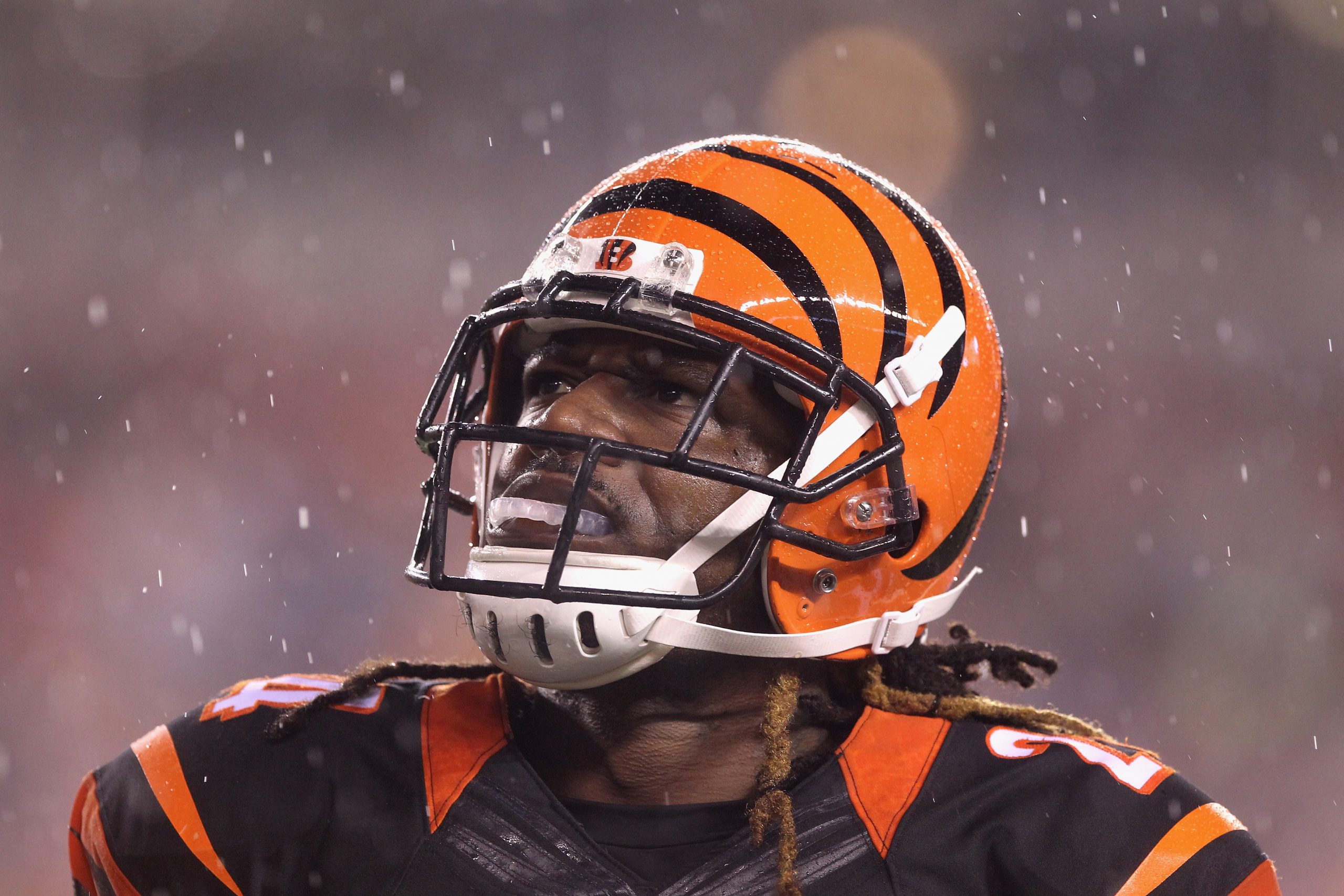 Wild Card Round - Pittsburgh Steelers v Cincinnati Bengals