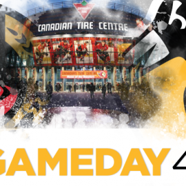 gameday_41
