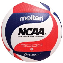 volleyball-molten
