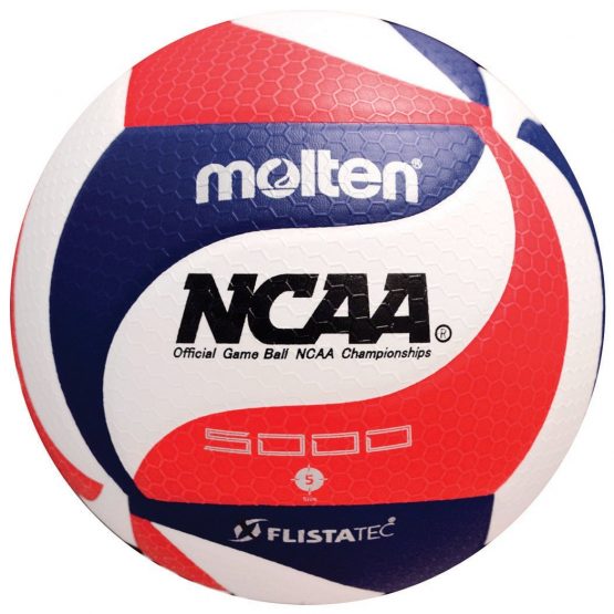 volleyball-molten
