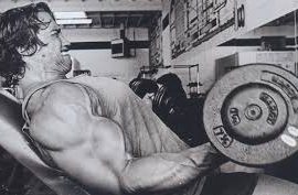 arnold1