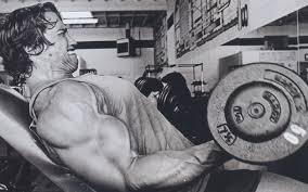 arnold1