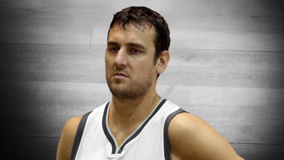 bogut-pic