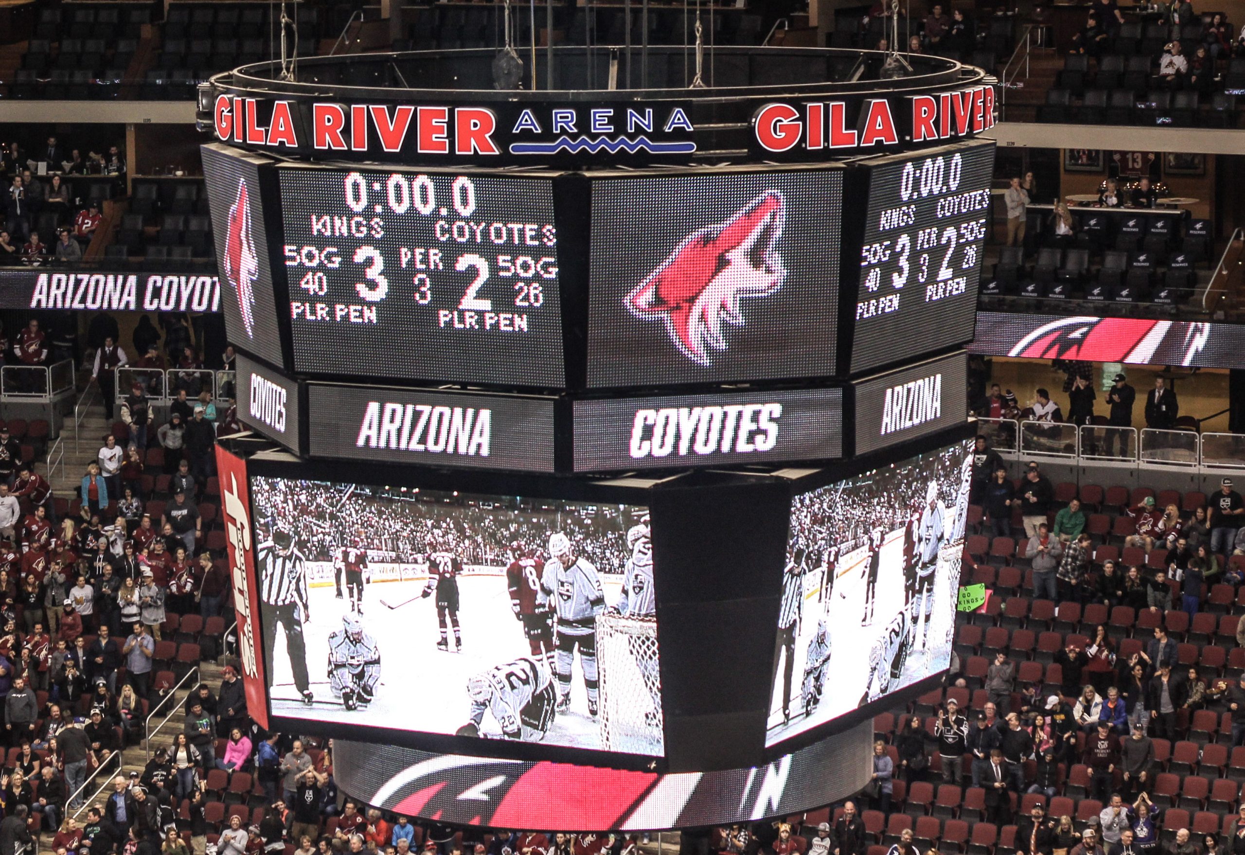 Coyotes