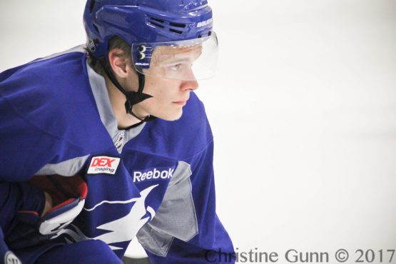 vnamestnikov3