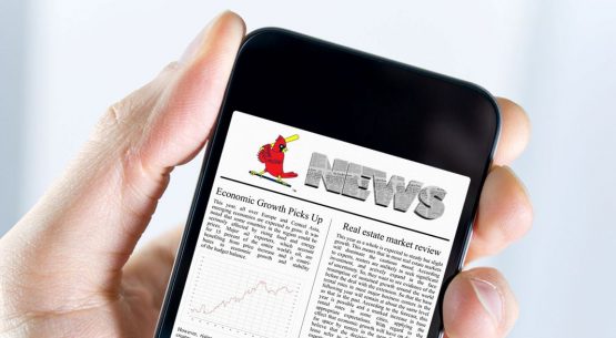 CARDS NEWS
