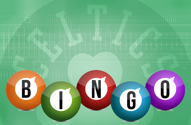 Bingo2 copy