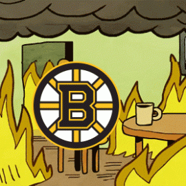 bruinsthisisfine
