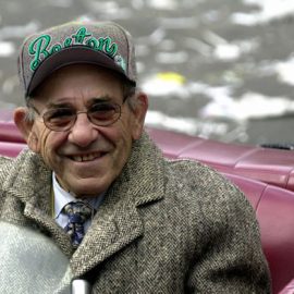 yogi