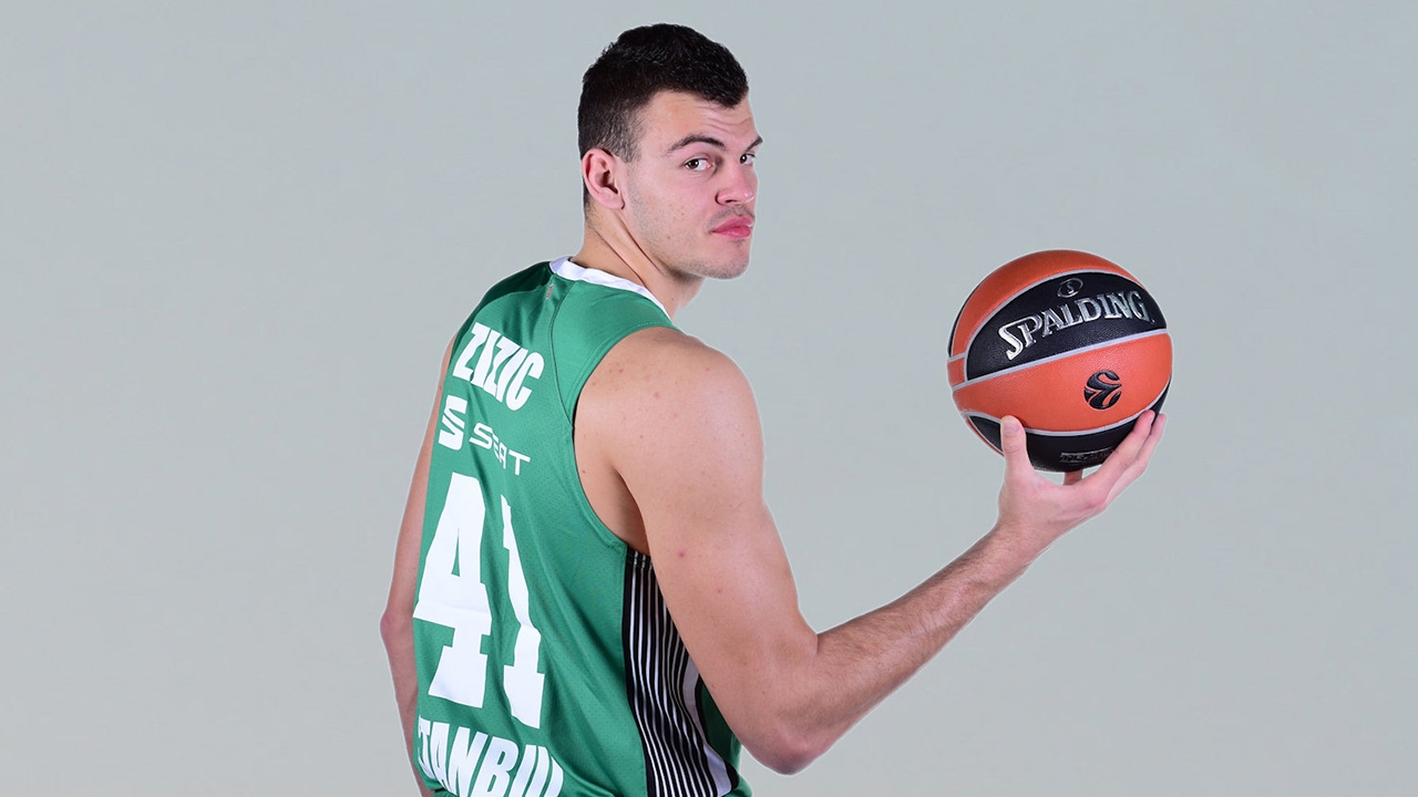 ante zizic