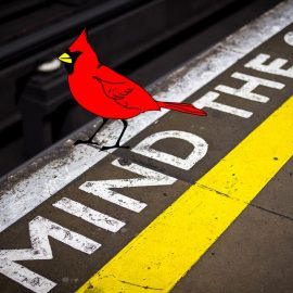 MIND THE GAP