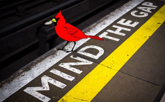 MIND THE GAP