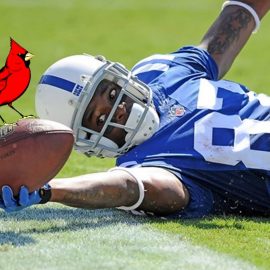 REGGIE WAYNE