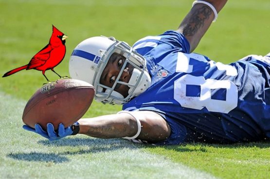 REGGIE WAYNE