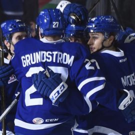 TMarlies