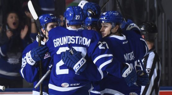 TMarlies