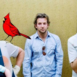 CARDINALS HANGOVER