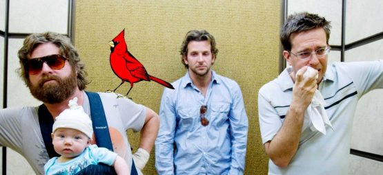 CARDINALS HANGOVER