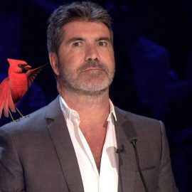 COWELL CARDINALS