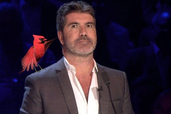COWELL CARDINALS