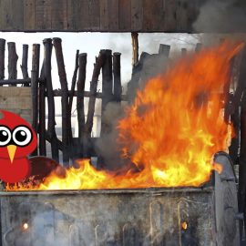 DUMPSTER FIRE