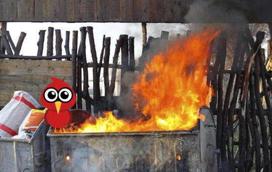 DUMPSTER FIRE