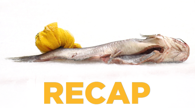 RECAP_Round4_Game3