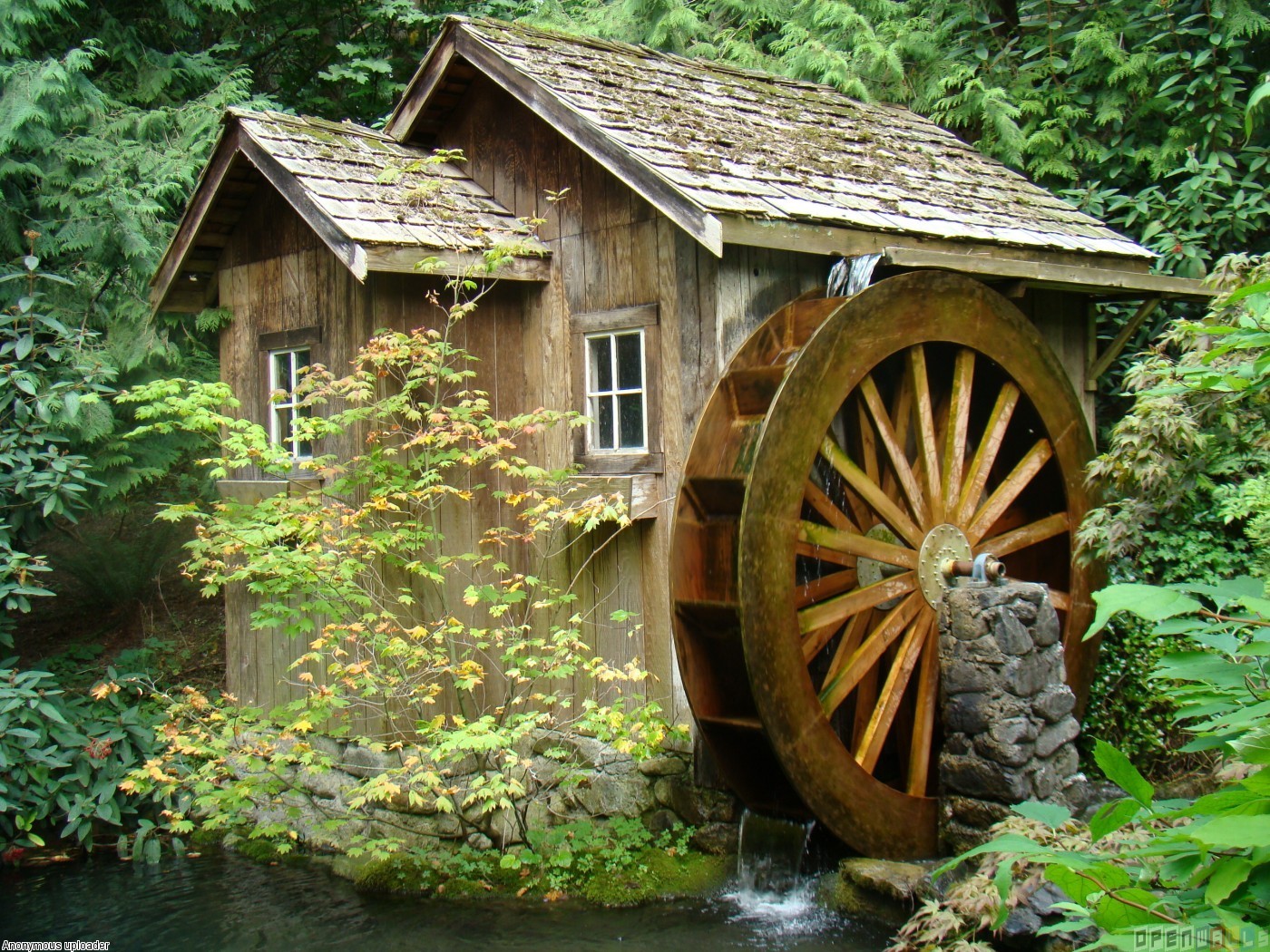 rumormill