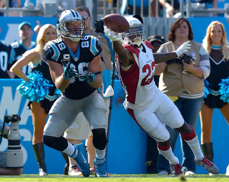 Arizona Cardinals v Carolina Panthers