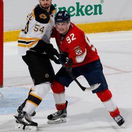 Boston Bruins v Florida Panthers