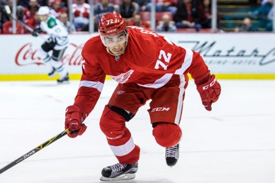 NHL: NOV 08 Stars at Red Wings