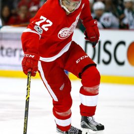 Minnesota Wild v Detroit Red Wings