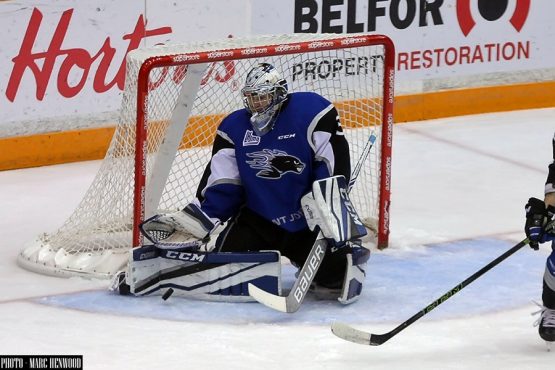 Sea Dogs vs Acadie Bathurst and RN Oct 2016 1l